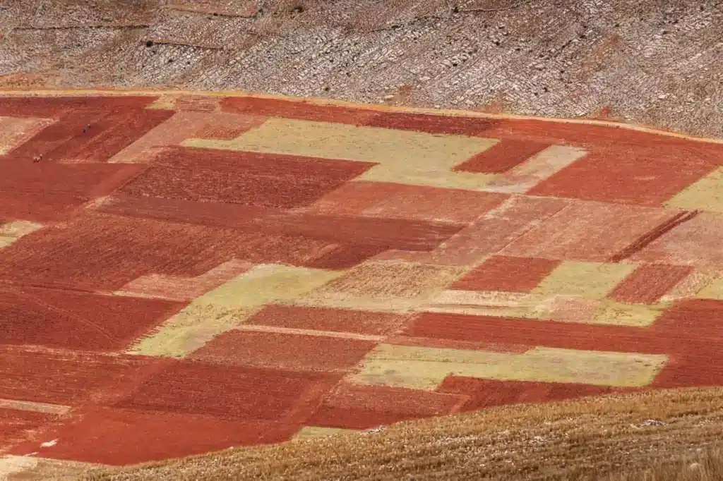 Qué debes evaluar al comprar un terreno