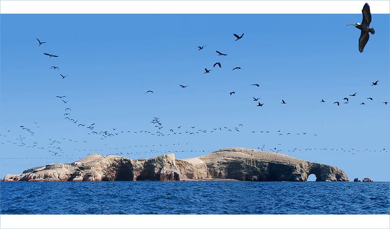 que hacer en chincha